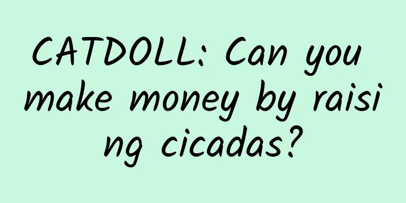 CATDOLL: Can you make money by raising cicadas?
