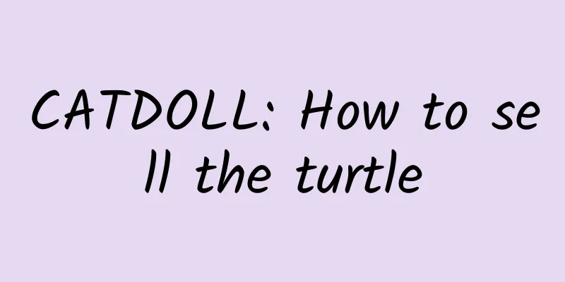 CATDOLL: How to sell the turtle