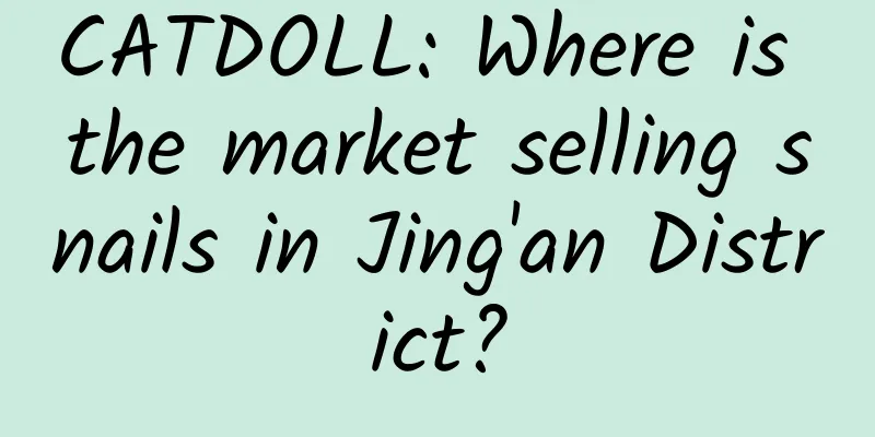 CATDOLL: Where is the market selling snails in Jing'an District?