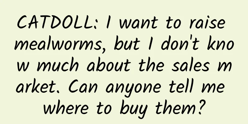CATDOLL: I want to raise mealworms, but I don't know much about the sales market. Can anyone tell me where to buy them?