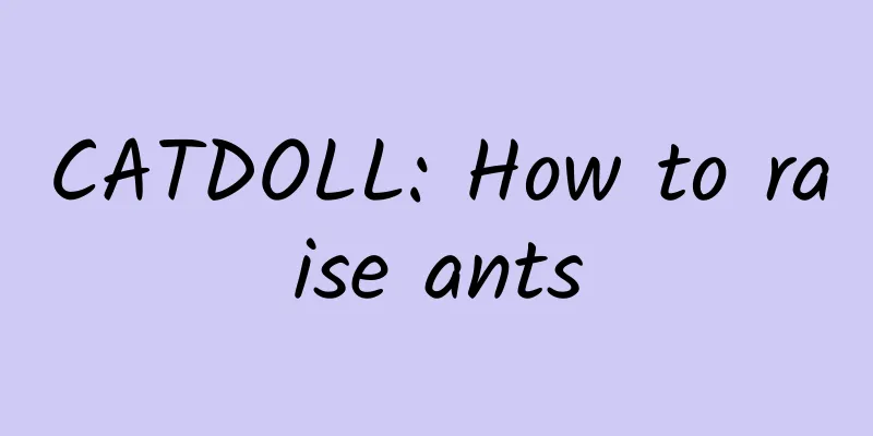 CATDOLL: How to raise ants