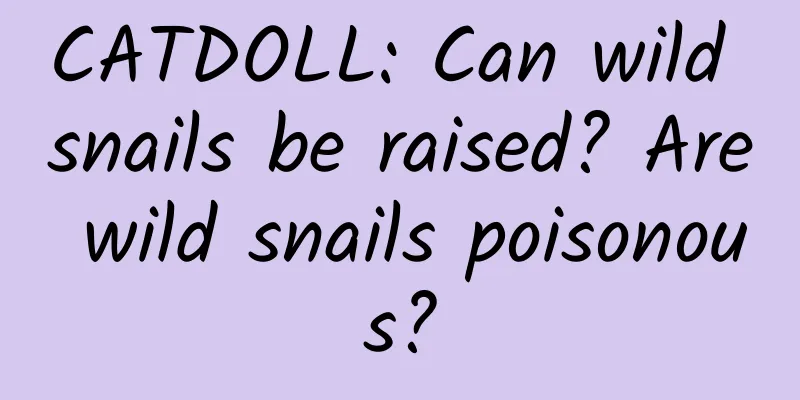 CATDOLL: Can wild snails be raised? Are wild snails poisonous?