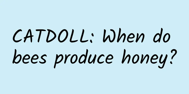 CATDOLL: When do bees produce honey?