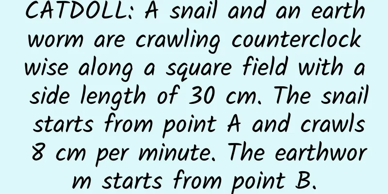 CATDOLL: A snail and an earthworm are crawling counterclockwise along a square field with a side length of 30 cm. The snail starts from point A and crawls 8 cm per minute. The earthworm starts from point B.