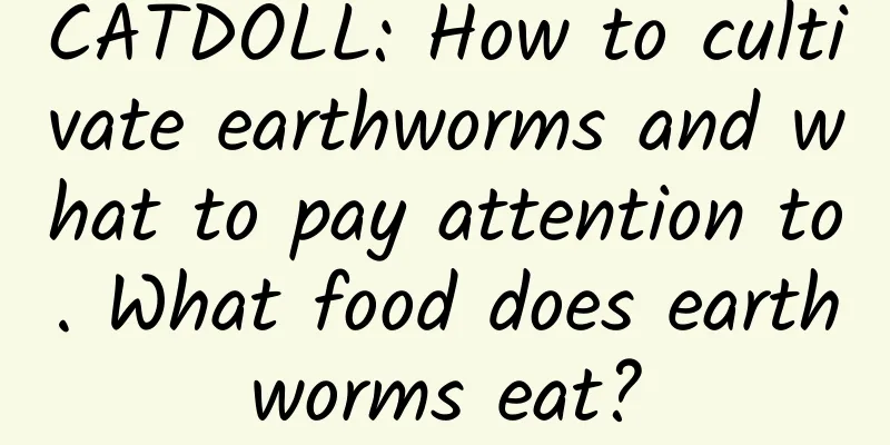 CATDOLL: How to cultivate earthworms and what to pay attention to. What food does earthworms eat?