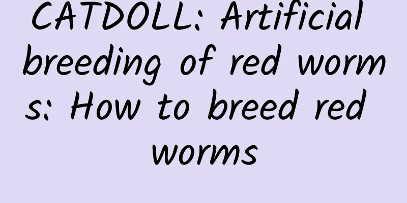 CATDOLL: Artificial breeding of red worms: How to breed red worms