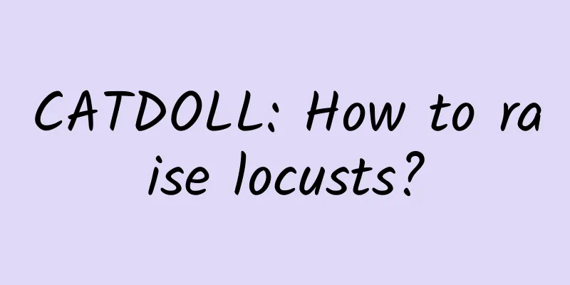 CATDOLL: How to raise locusts?