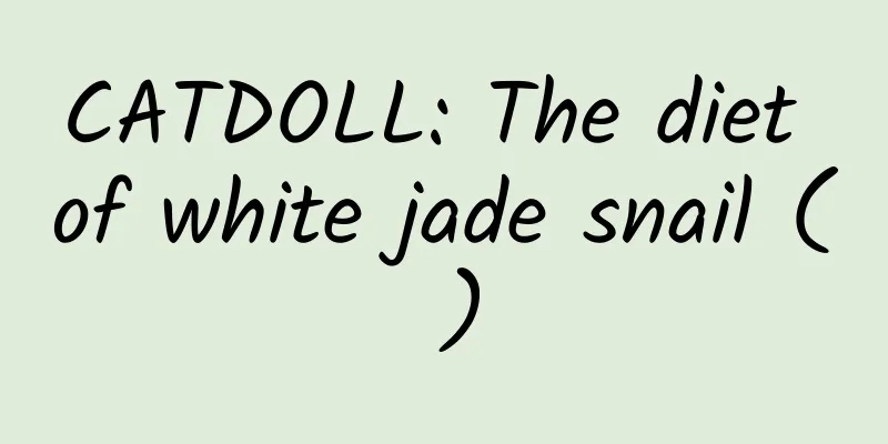 CATDOLL: The diet of white jade snail ( )