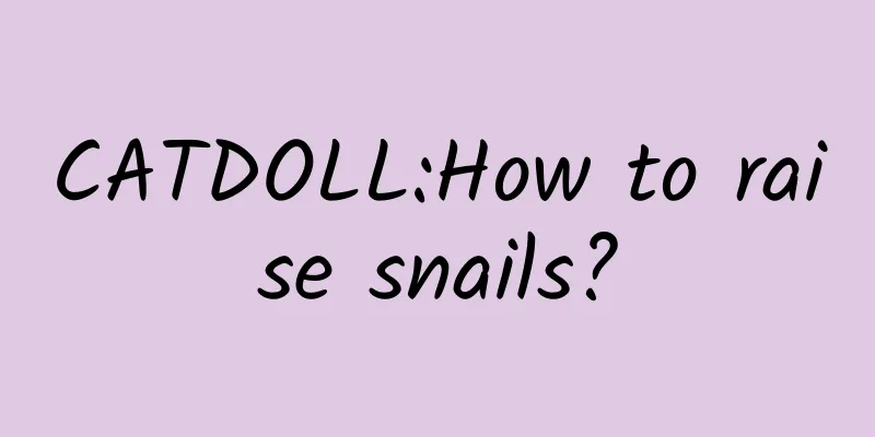 CATDOLL:How to raise snails?
