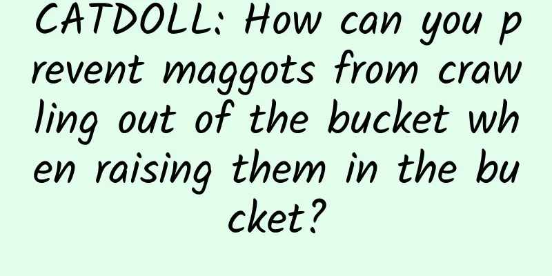 CATDOLL: How can you prevent maggots from crawling out of the bucket when raising them in the bucket?