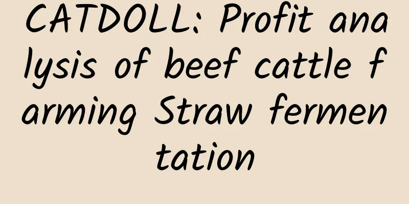 CATDOLL: Profit analysis of beef cattle farming Straw fermentation