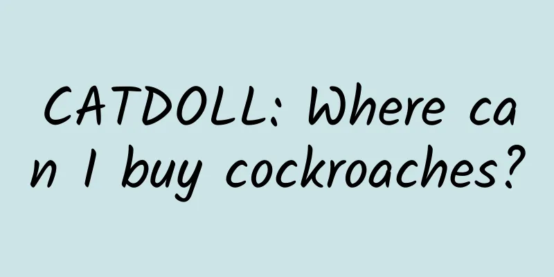 CATDOLL: Where can I buy cockroaches?