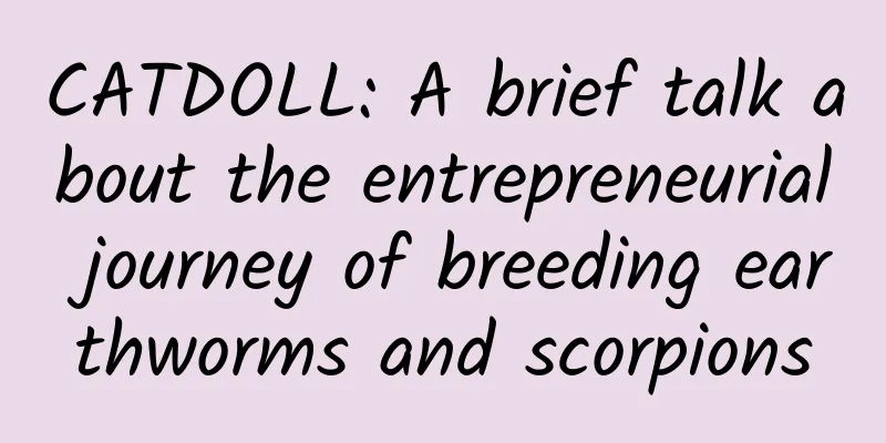 CATDOLL: A brief talk about the entrepreneurial journey of breeding earthworms and scorpions