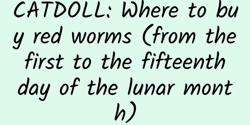 CATDOLL: Where to buy red worms (from the first to the fifteenth day of the lunar month)