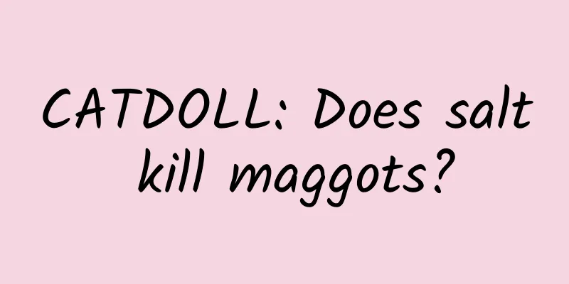 CATDOLL: Does salt kill maggots?