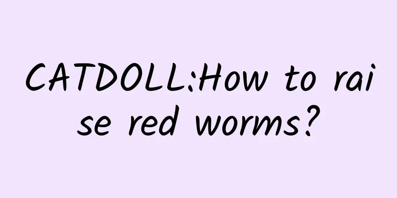 CATDOLL:How to raise red worms?