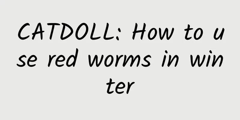 CATDOLL: How to use red worms in winter