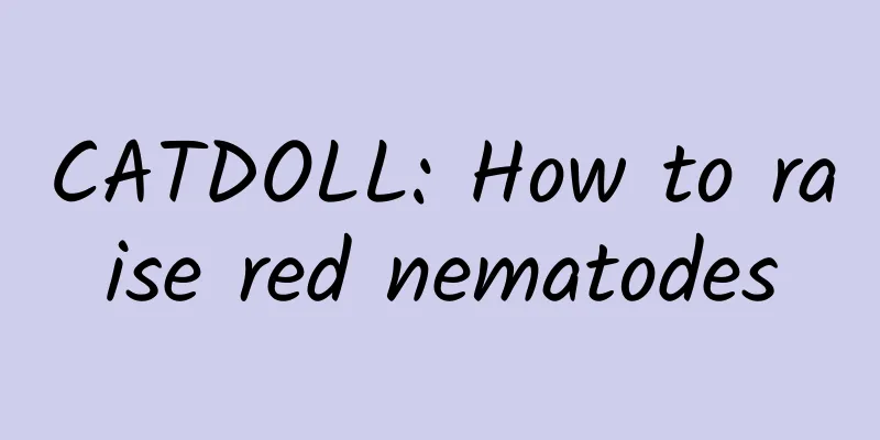 CATDOLL: How to raise red nematodes