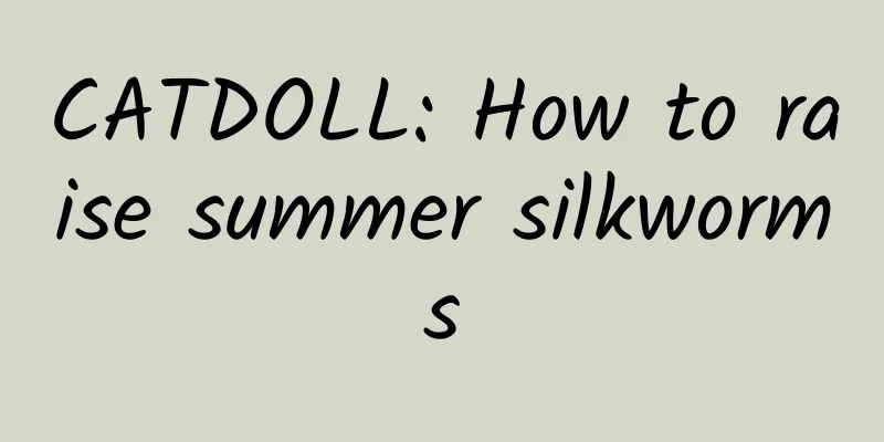 CATDOLL: How to raise summer silkworms