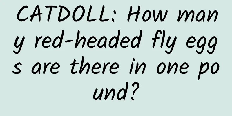 CATDOLL: How many red-headed fly eggs are there in one pound?