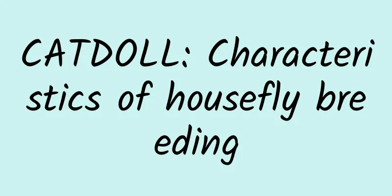 CATDOLL: Characteristics of housefly breeding