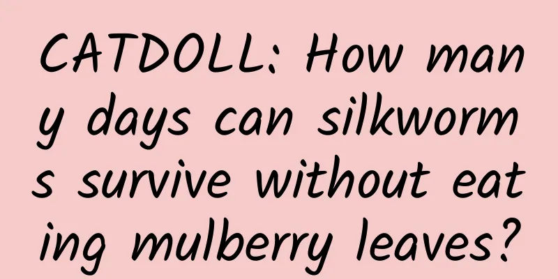 CATDOLL: How many days can silkworms survive without eating mulberry leaves?