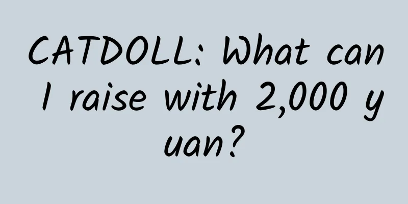 CATDOLL: What can I raise with 2,000 yuan?