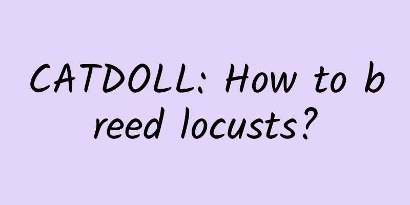 CATDOLL: How to breed locusts?