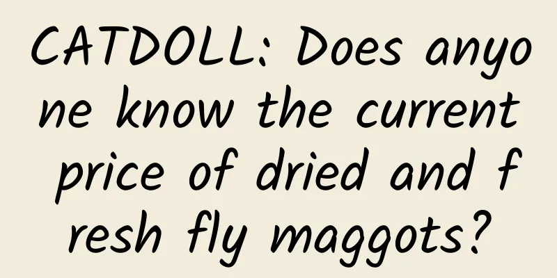 CATDOLL: Does anyone know the current price of dried and fresh fly maggots?