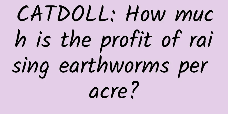 CATDOLL: How much is the profit of raising earthworms per acre?