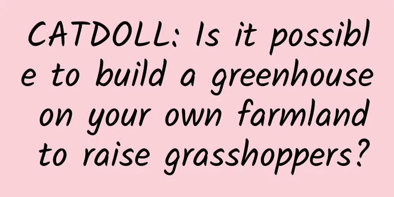 CATDOLL: Is it possible to build a greenhouse on your own farmland to raise grasshoppers?