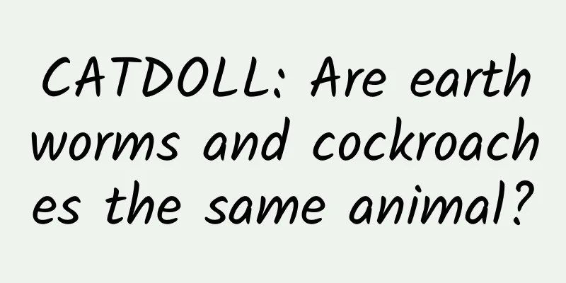 CATDOLL: Are earthworms and cockroaches the same animal?