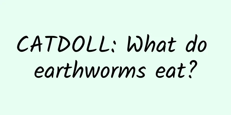 CATDOLL: What do earthworms eat?
