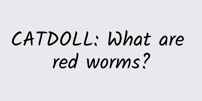CATDOLL: What are red worms?