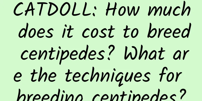 CATDOLL: How much does it cost to breed centipedes? What are the techniques for breeding centipedes?