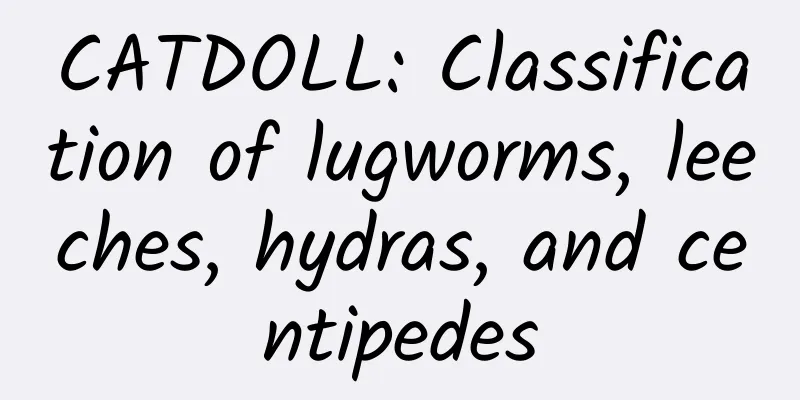 CATDOLL: Classification of lugworms, leeches, hydras, and centipedes