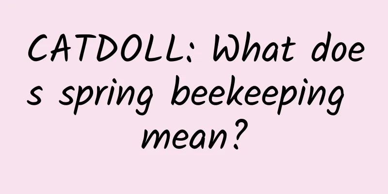 CATDOLL: What does spring beekeeping mean?