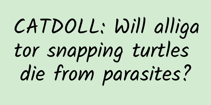 CATDOLL: Will alligator snapping turtles die from parasites?