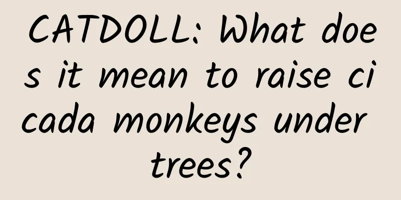 CATDOLL: What does it mean to raise cicada monkeys under trees?