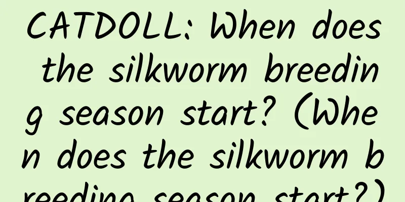 CATDOLL: When does the silkworm breeding season start? (When does the silkworm breeding season start?)