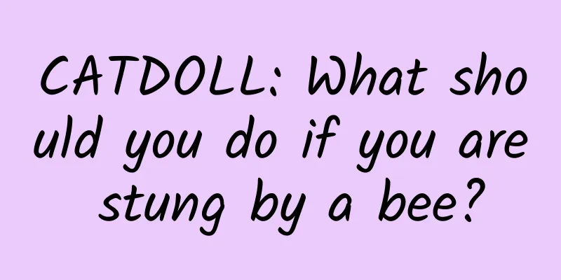 CATDOLL: What should you do if you are stung by a bee?