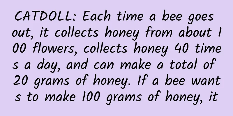 CATDOLL: Each time a bee goes out, it collects honey from about 100 flowers, collects honey 40 times a day, and can make a total of 20 grams of honey. If a bee wants to make 100 grams of honey, it