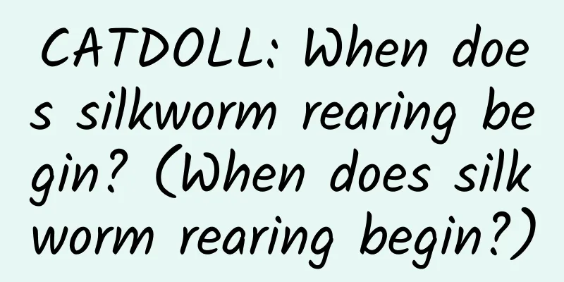 CATDOLL: When does silkworm rearing begin? (When does silkworm rearing begin?)