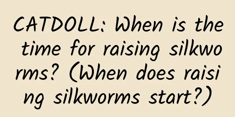 CATDOLL: When is the time for raising silkworms? (When does raising silkworms start?)