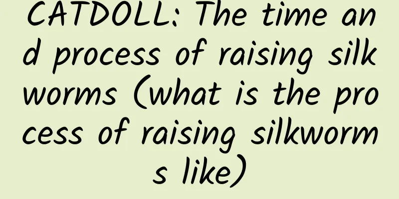 CATDOLL: The time and process of raising silkworms (what is the process of raising silkworms like)