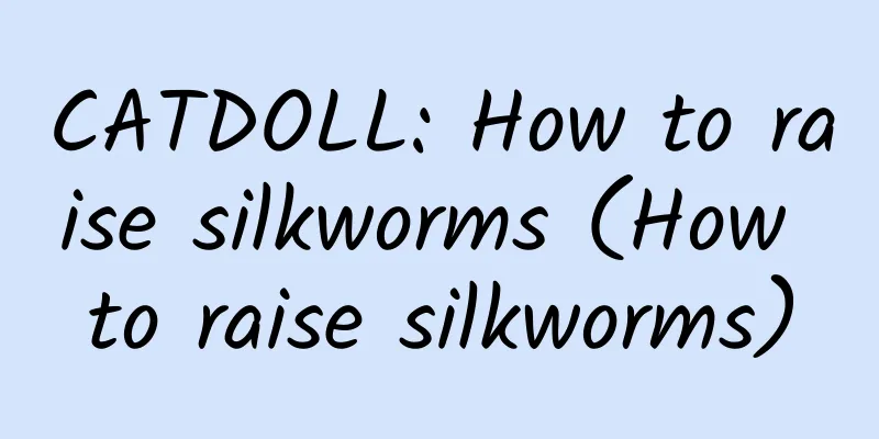 CATDOLL: How to raise silkworms (How to raise silkworms)