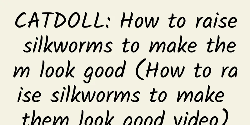 CATDOLL: How to raise silkworms to make them look good (How to raise silkworms to make them look good video)