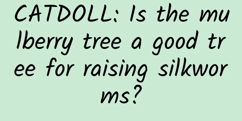 CATDOLL: Is the mulberry tree a good tree for raising silkworms?