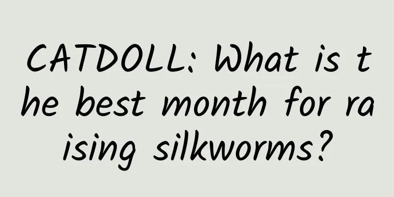 CATDOLL: What is the best month for raising silkworms?