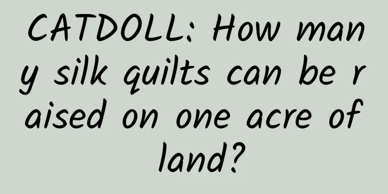 CATDOLL: How many silk quilts can be raised on one acre of land?